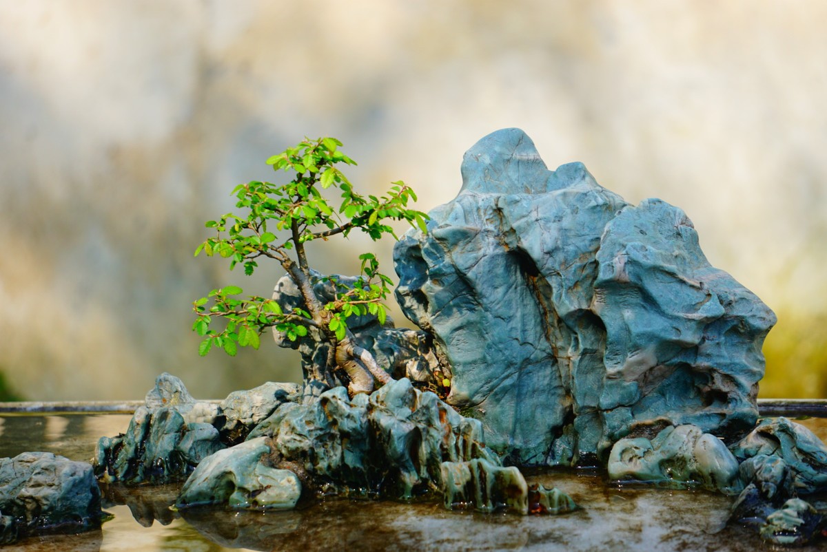 古鎮(zhèn)游玩，有一種說走就走的旅行