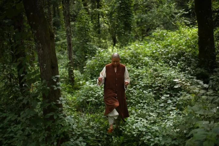 寂照庵--中國(guó)最文藝尼姑庵：心若無塵一花一世界