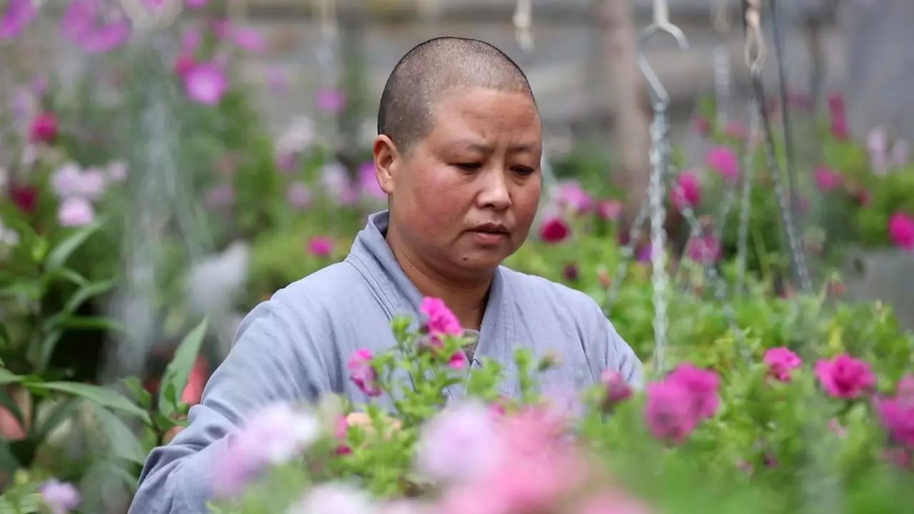 寂照庵--中國(guó)最文藝尼姑庵：心若無塵一花一世界