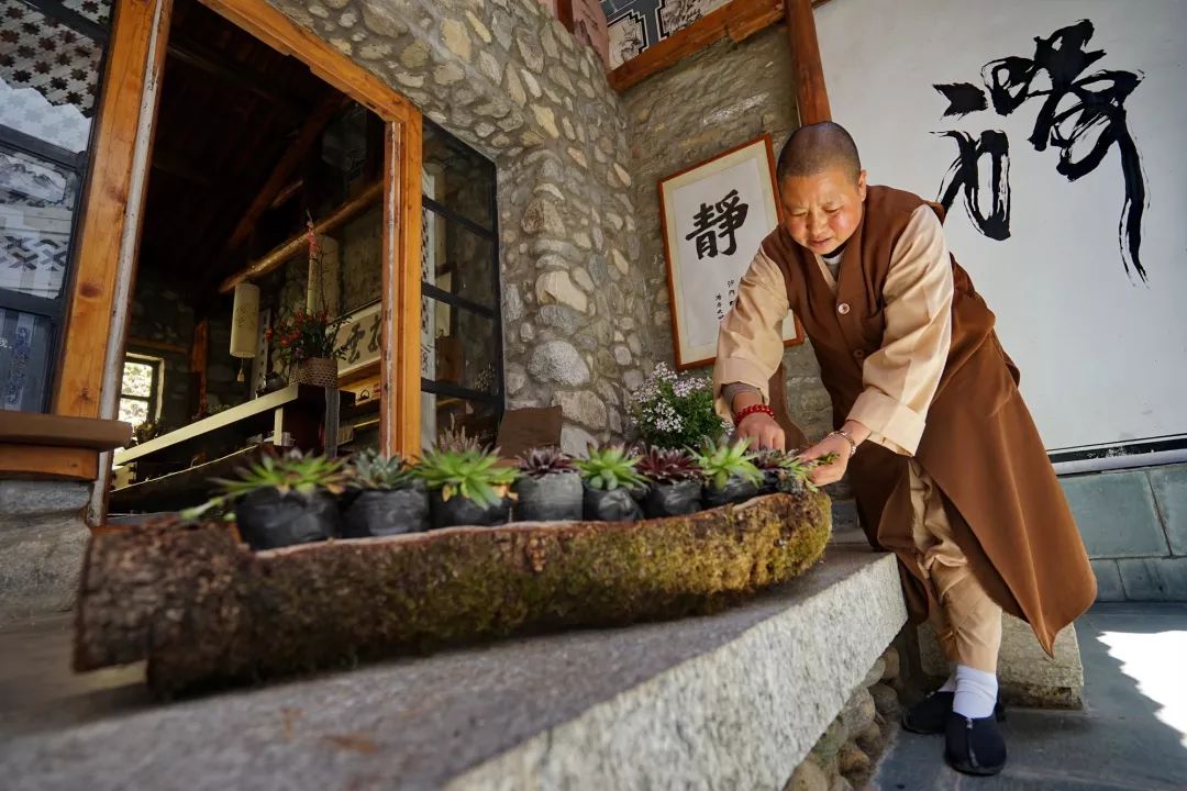 寂照庵--中國(guó)最文藝尼姑庵：心若無塵一花一世界