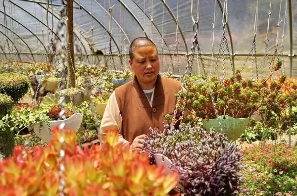 寂照庵--中國(guó)最文藝尼姑庵：心若無塵一花一世界