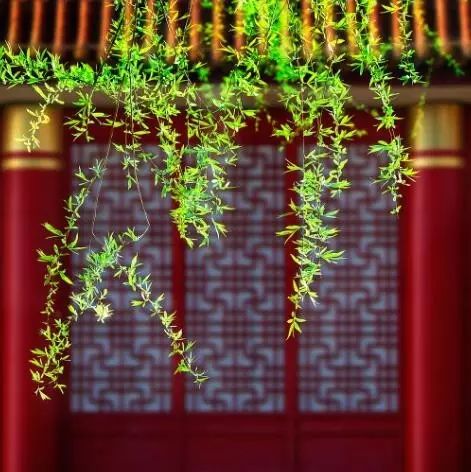雄峙數(shù)千年的古建筑，歷史古建筑風情萬種！