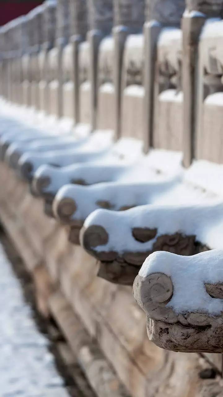 最美中國古建筑：紫禁城下雪了！