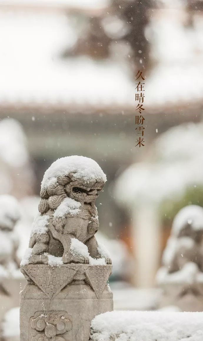 最美中國古建筑：紫禁城下雪了！