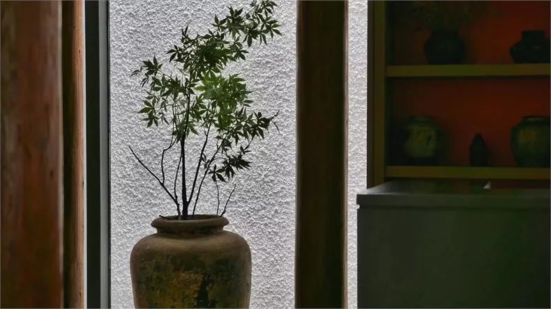 新中式建筑：望廬·一處徽派老宅的煥然新生！
