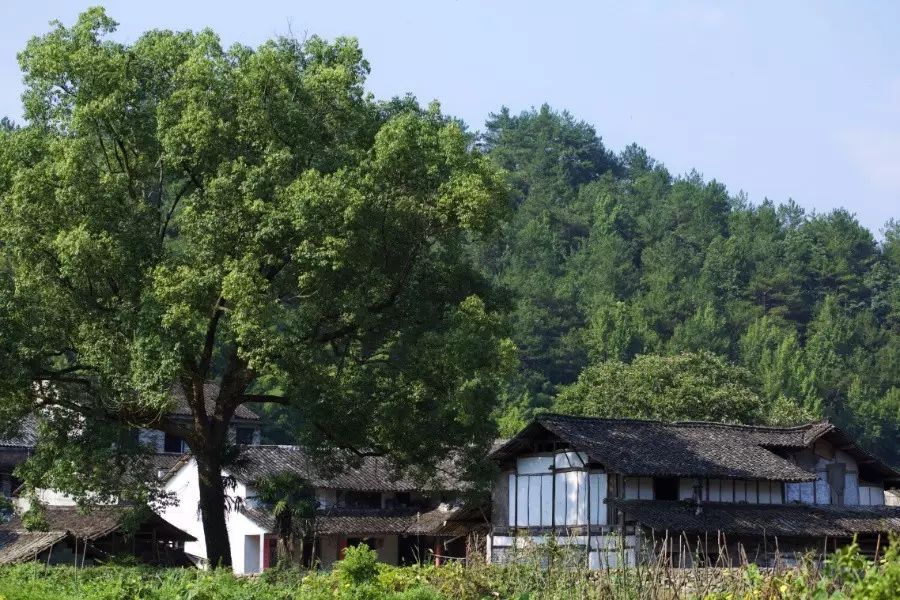 中國(guó)古建筑，千年古村不會(huì)消失但卻只剩下老房