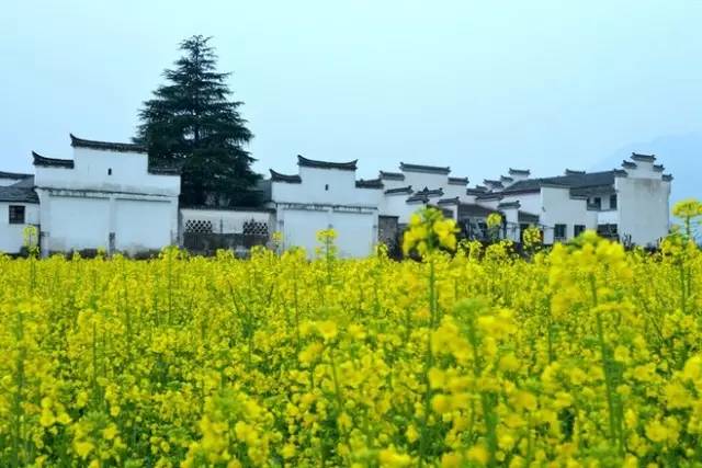 中國(guó)建筑六大派之一，皖派建筑
