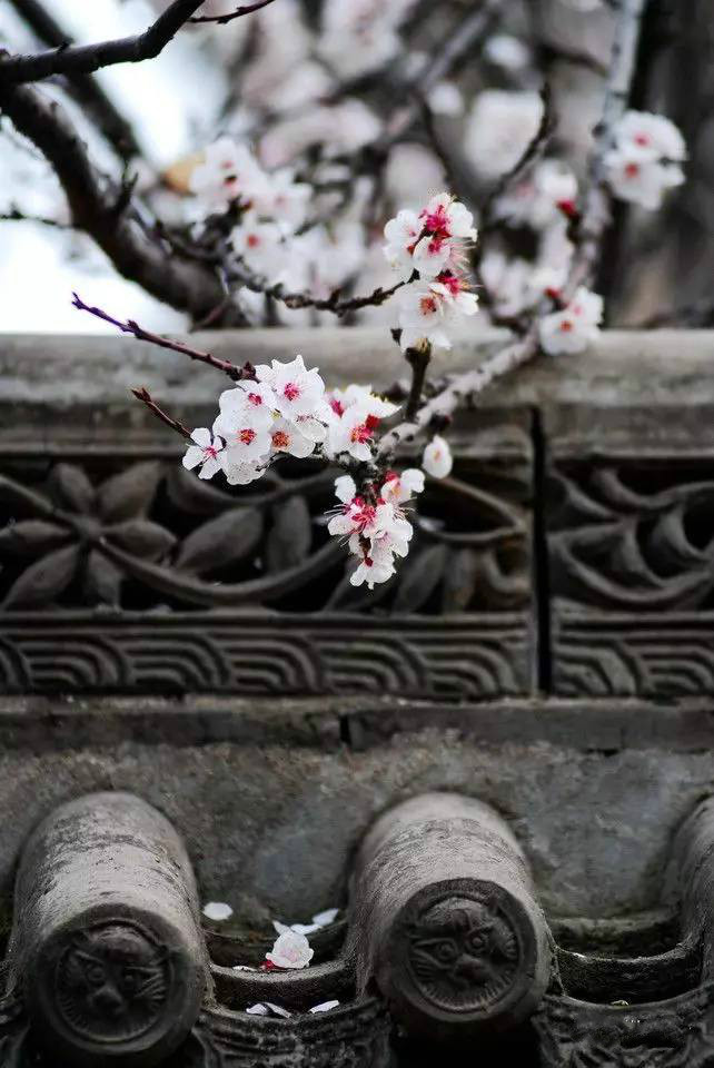 古建筑，一片瓦，遮風(fēng)擋雨