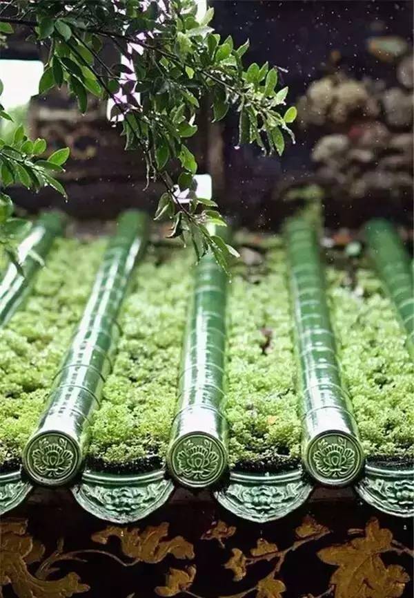 古建筑，一片瓦，遮風(fēng)擋雨