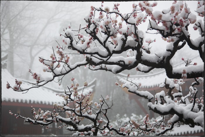 美的刺目的中國古建筑 歷經(jīng)世間滄桑、歲月荏苒