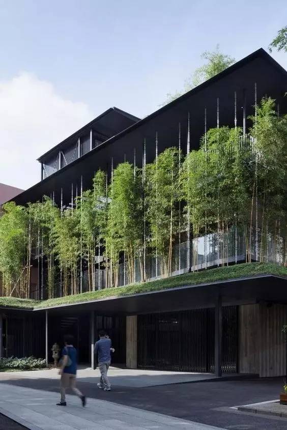 木格柵建筑，次序中的美