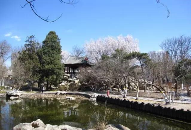 最美·古典中國(guó)園林