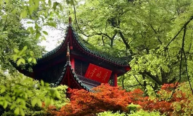 亭·停，唯美的亭臺(tái)樓閣