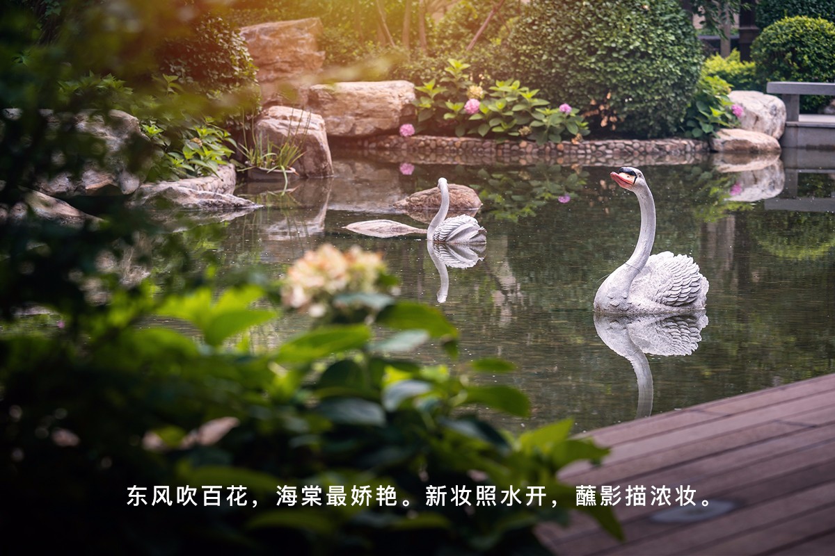 龍湖五維景觀·人文，歷史不說話全在建筑