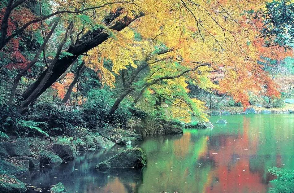 園林景觀：日本古典園林藝術(shù)淺析