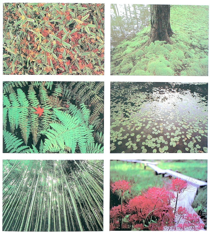 園林景觀：日本古典園林藝術(shù)淺析