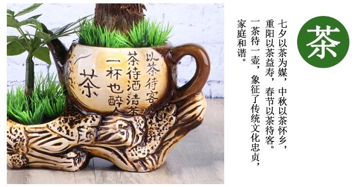 中國風(fēng)發(fā)財樹盆景