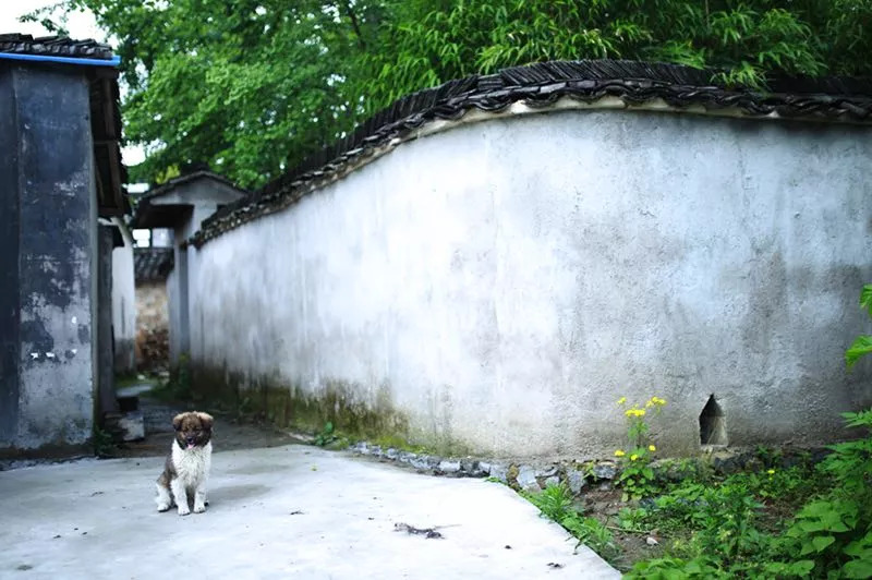 黃山·舊街墨野，浸染徽文化的地方