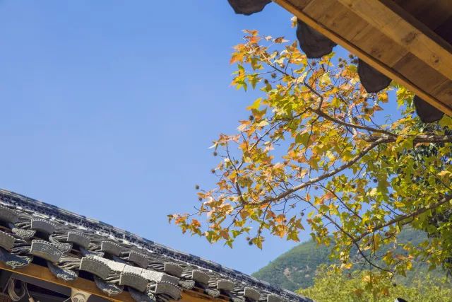 最美大山里的圖書(shū)館，感受美妙的讀書(shū)世界