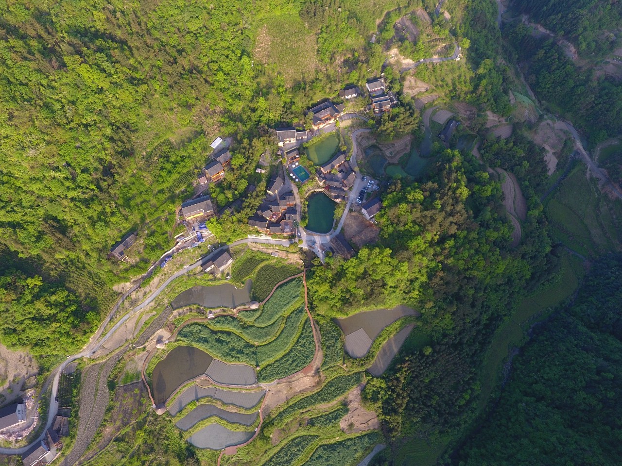 張家界·五號(hào)山谷，山谷在重生！