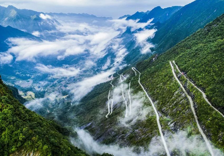 西顧·望城山居，闖入仙境等待一場花開的心動