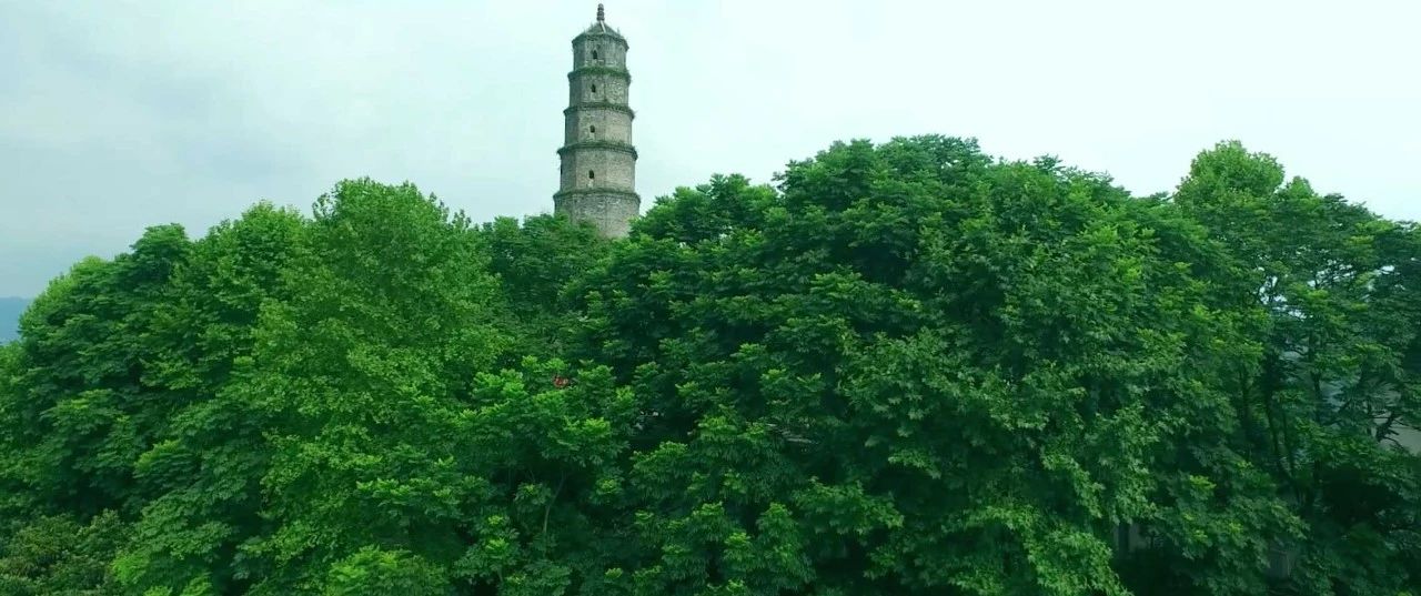 西顧·望城山居，闖入仙境等待一場花開的心動