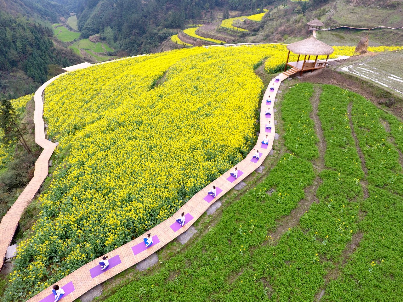 張家界·五號(hào)山谷，山谷在重生！