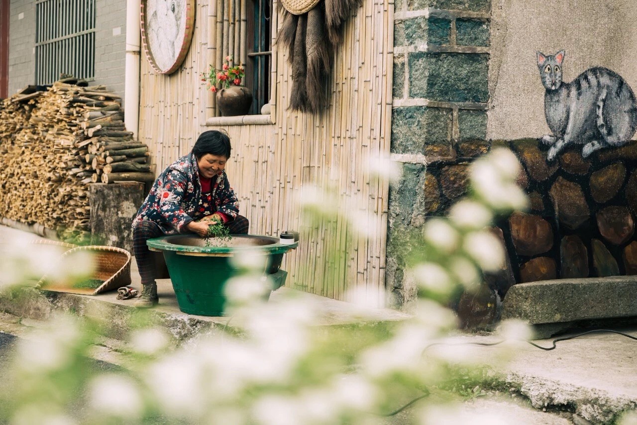 杭州·相見茶舍，若無相欠怎會相見