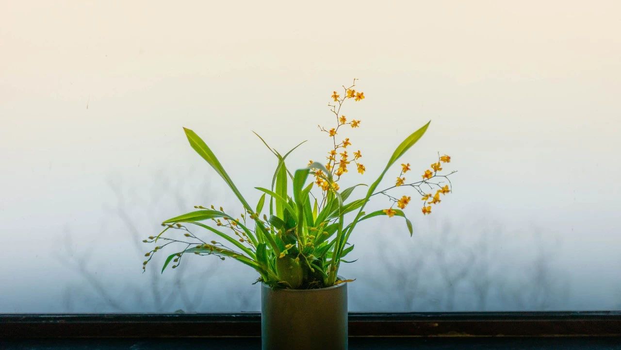 杭州·相見茶舍，若無相欠怎會相見