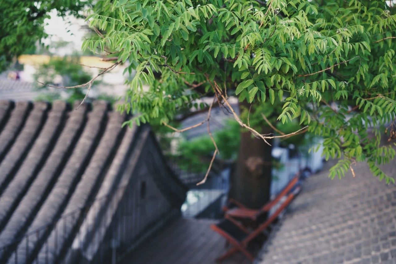 北京·有術(shù)，網(wǎng)紅建筑師青山周平的新作