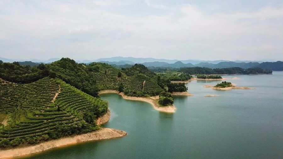 點(diǎn)叁民宿，千島湖坐船賞景豈不詩(shī)意？