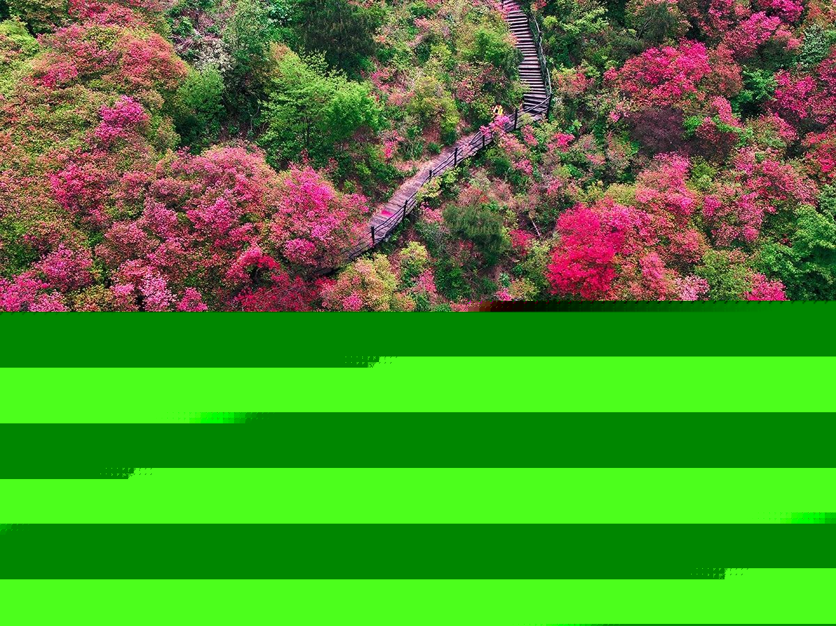 麻城·云夢如故，山里的房子就該有山里的味道