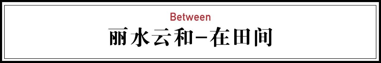 麗水云和·在田間，中國(guó)傳統(tǒng)水墨山水的意境