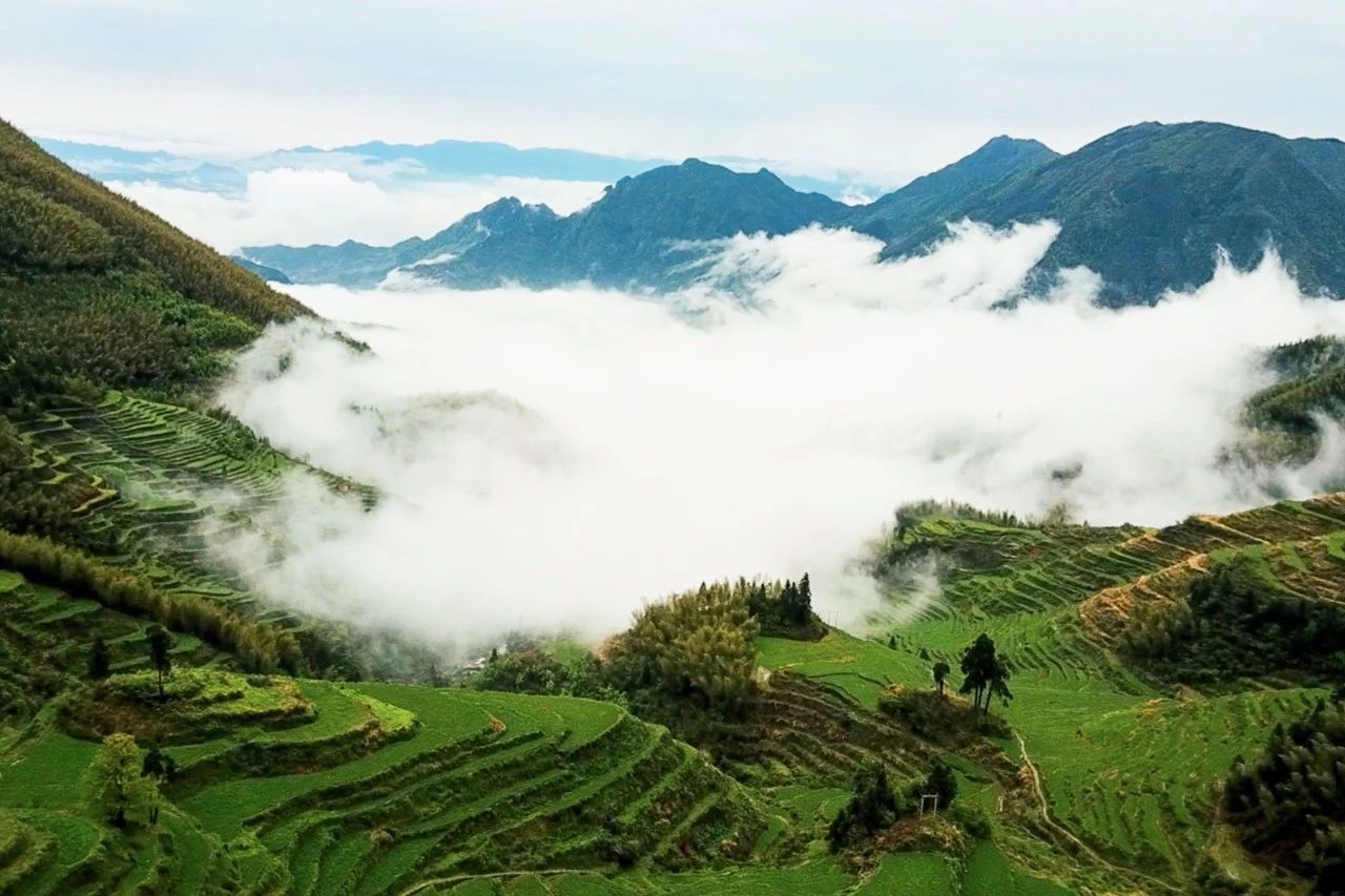 麗水云和·在田間，中國(guó)傳統(tǒng)水墨山水的意境