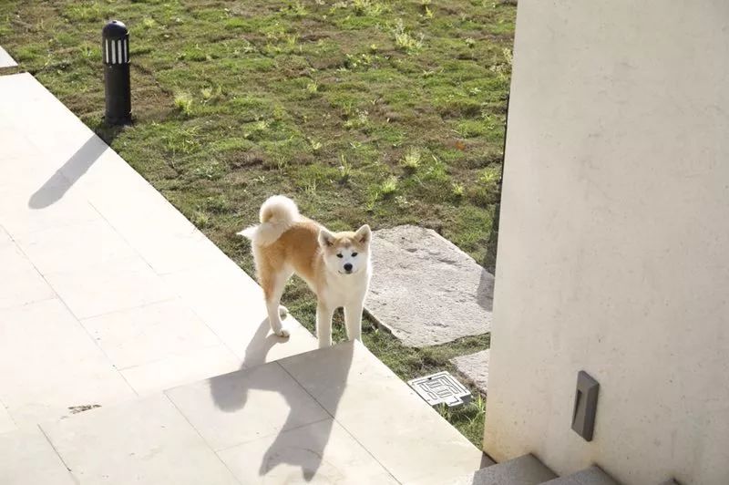 莫干山·梵谷，回歸自然的日子才是最難得