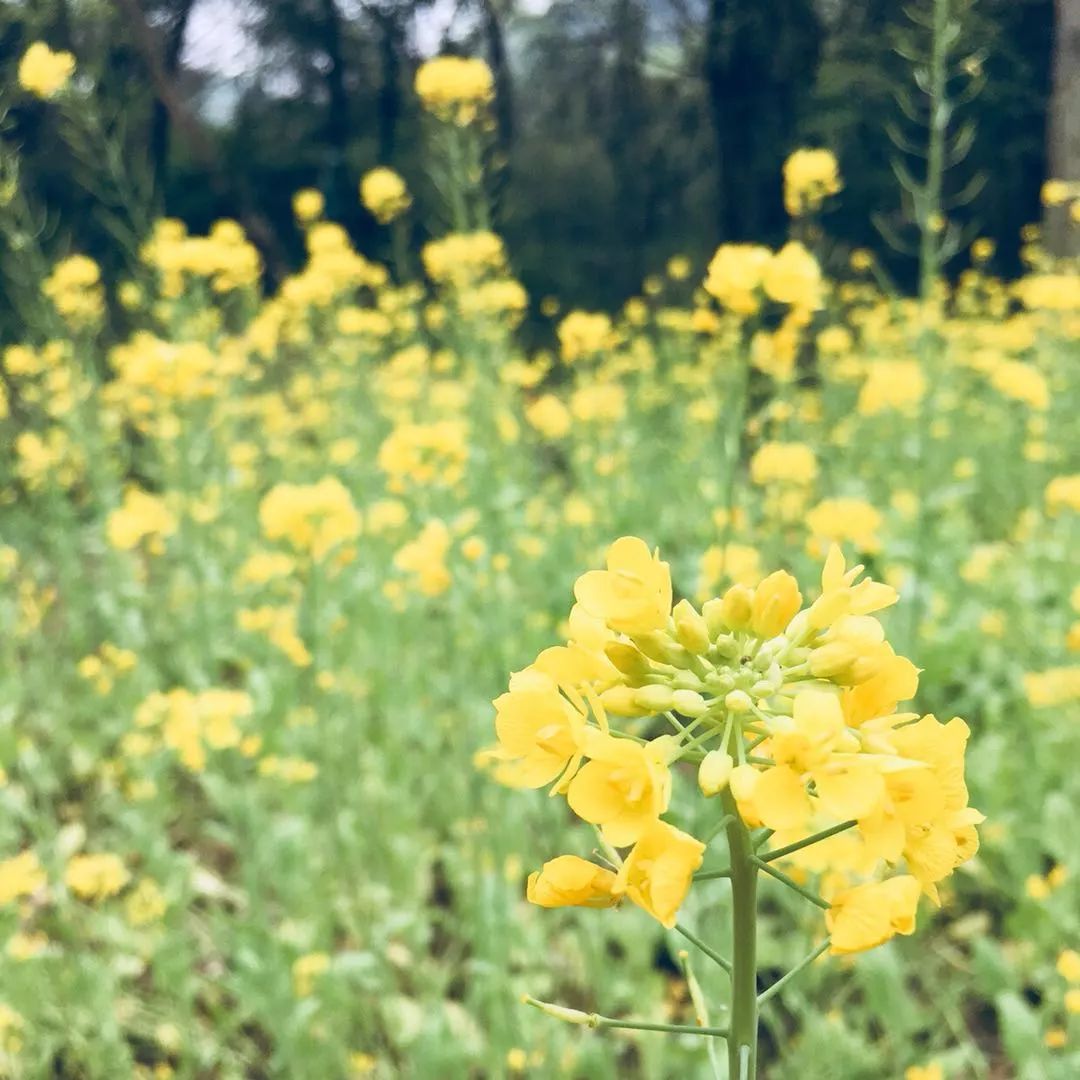 莫干山·梵谷，回歸自然的日子才是最難得