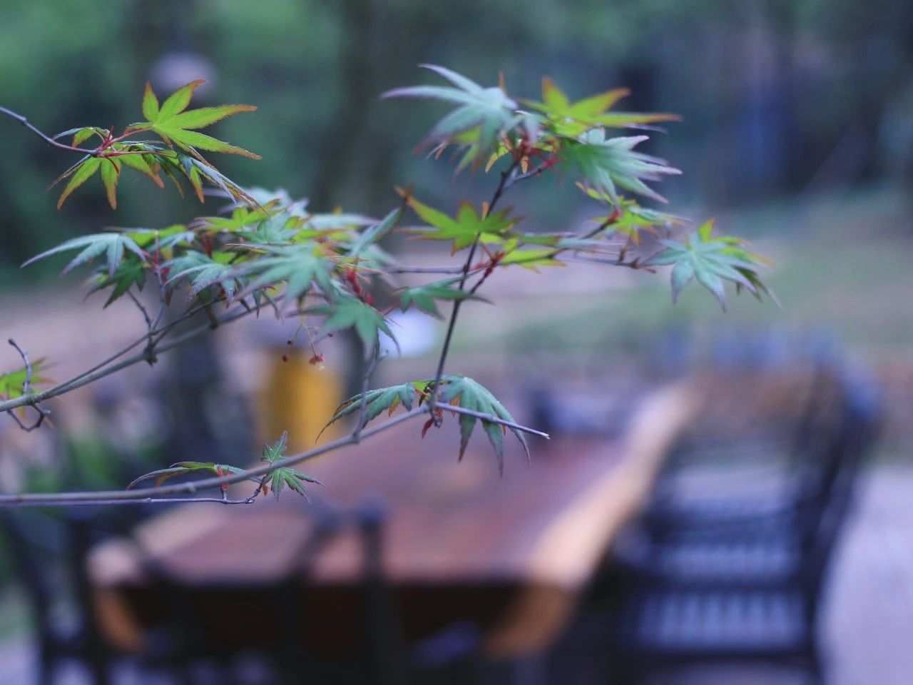 莫干山·梵谷，回歸自然的日子才是最難得