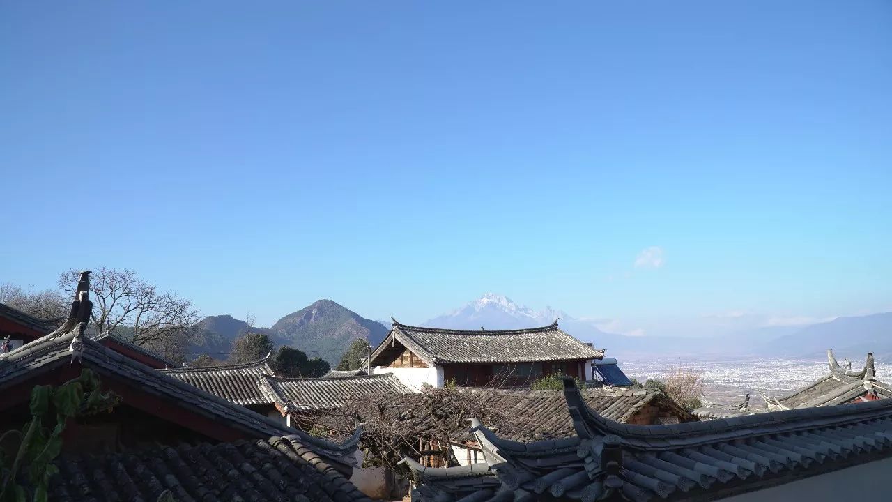 麗江·靈凈山舍，一花一木一世界！