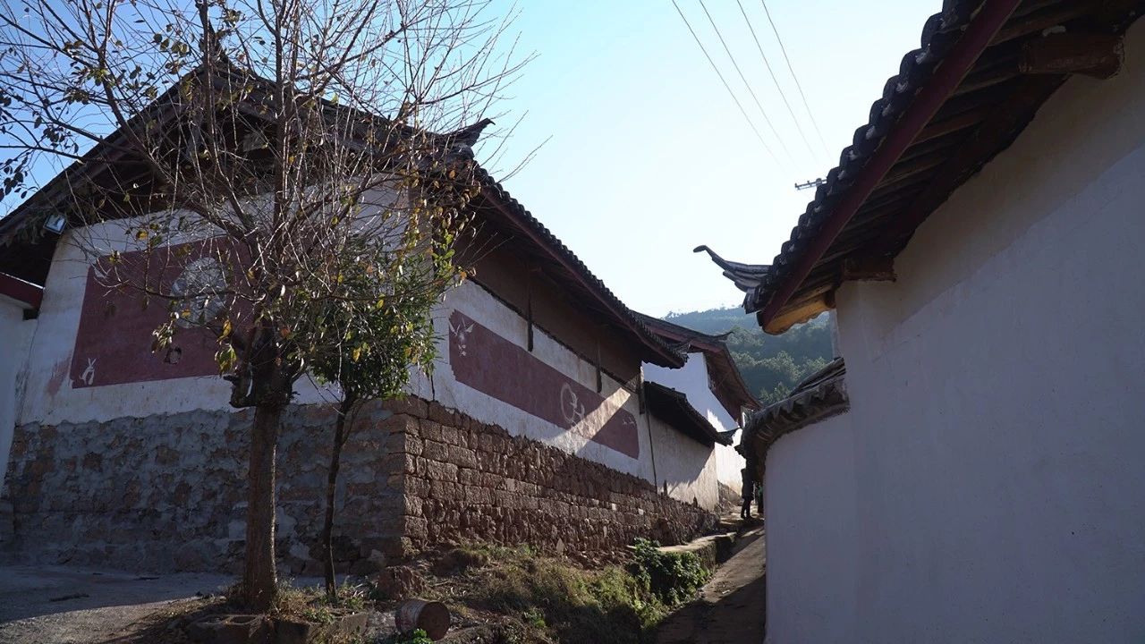 麗江·靈凈山舍，一花一木一世界！