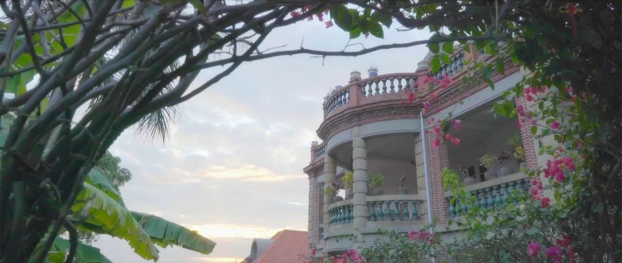 廈門·春草芬芳，體驗(yàn)面朝大海沐浴星辰的愜意芬