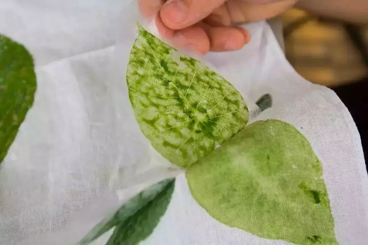 松陽(yáng)·蔦舍，江南秘境里最溫暖的落腳處