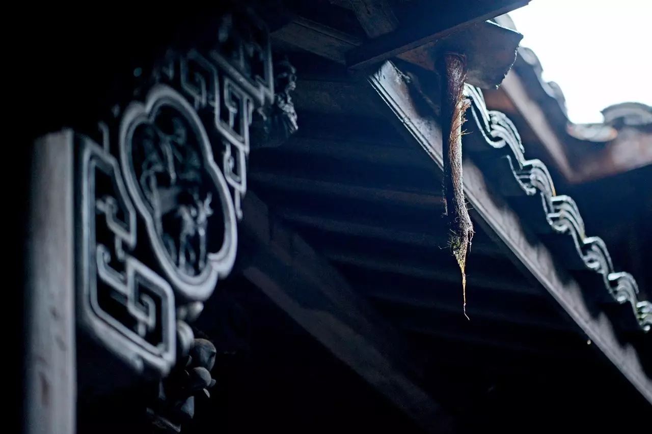 松陽(yáng)·蔦舍，江南秘境里最溫暖的落腳處