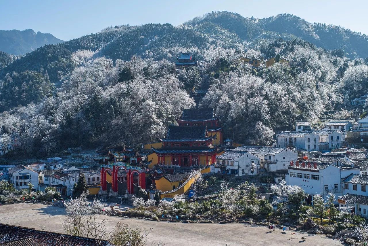 九華山·清竹里，延續(xù)和分享茶文化禪文化
