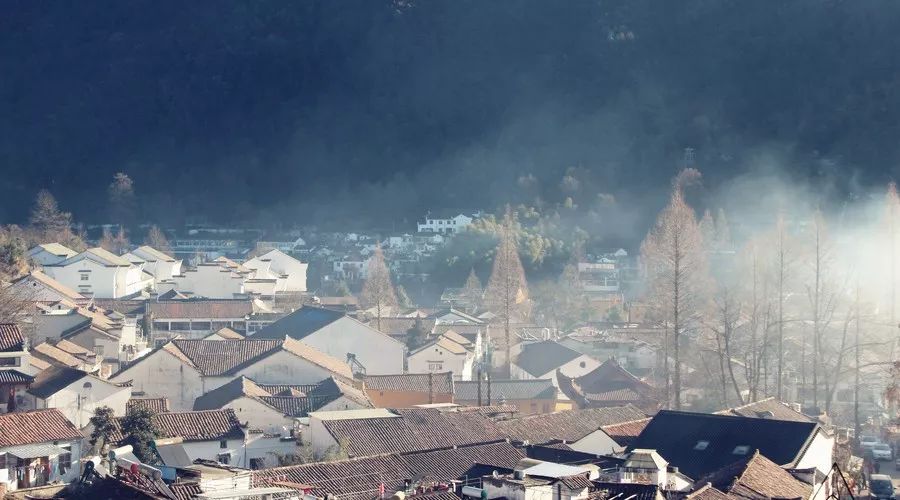 九華山·清竹里，延續(xù)和分享茶文化禪文化