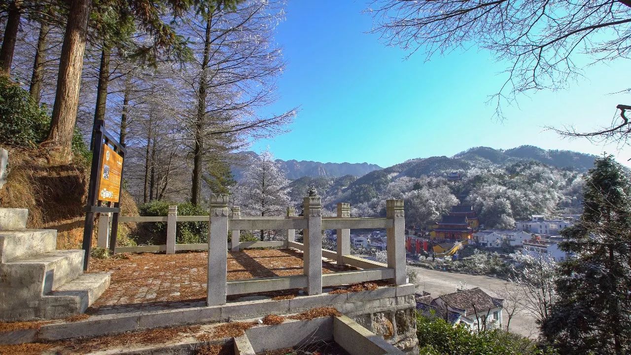 九華山·清竹里，延續(xù)和分享茶文化禪文化