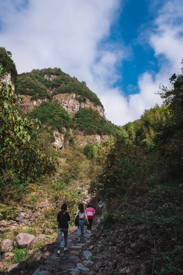 麗水·曼山居，依山而居便不知人間是何夕