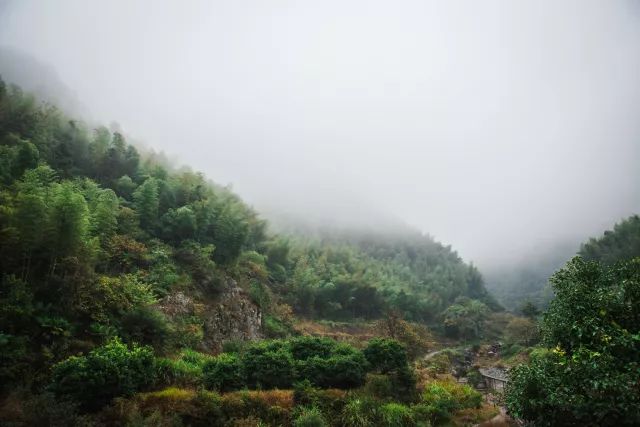 麗水·曼山居，依山而居便不知人間是何夕