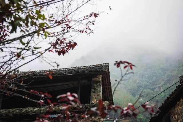 麗水·曼山居，依山而居便不知人間是何夕