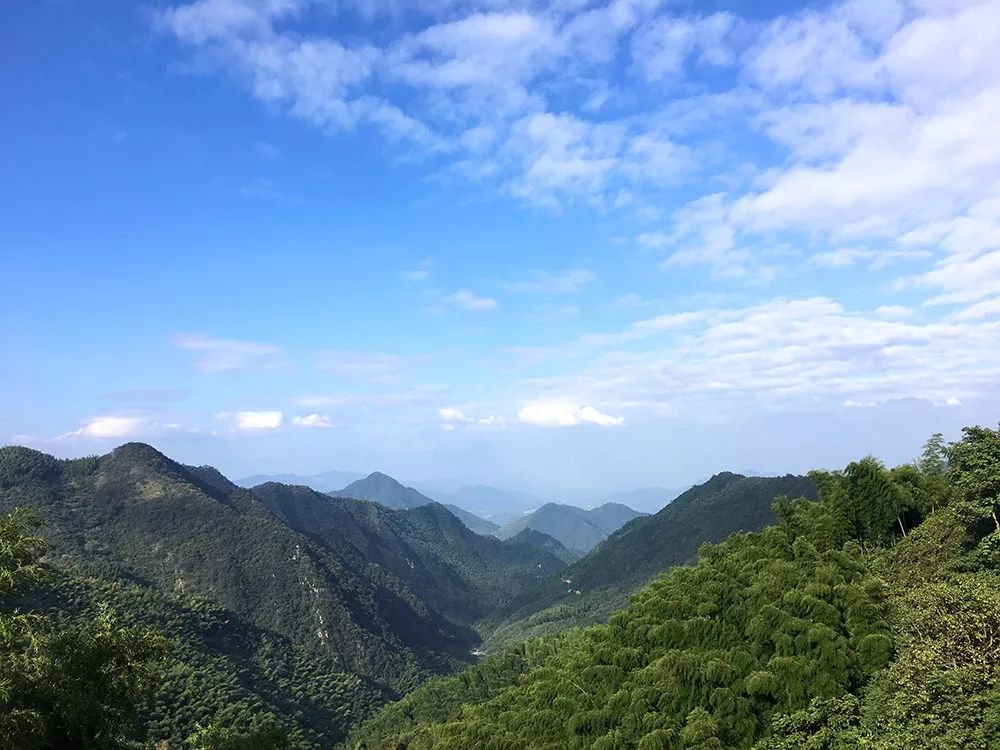 杭州·蓮社溪客，不妥協(xié)的人生才比較有趣