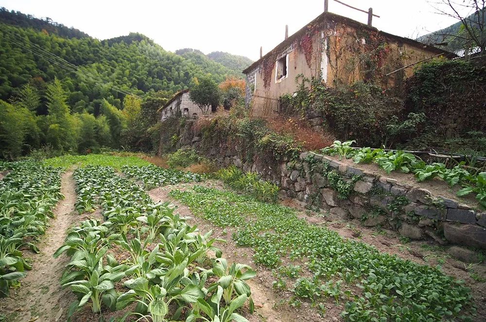 杭州·蓮社溪客，不妥協(xié)的人生才比較有趣